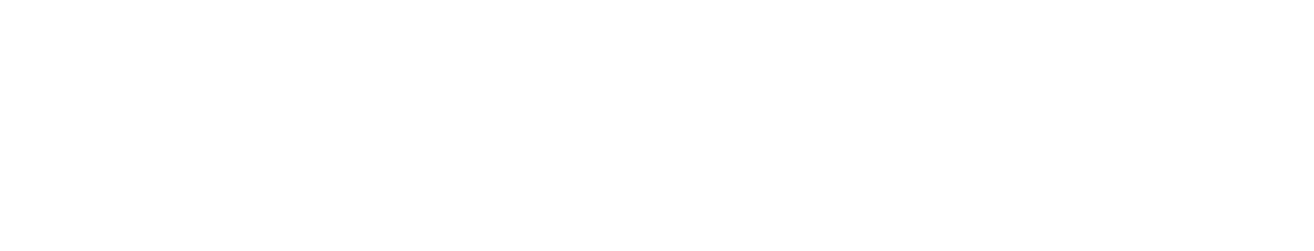 RobeksLogo2